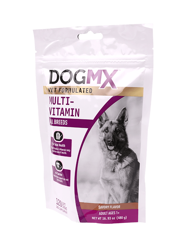 Geantă stand up ziplock pentru câini de companie ambalaj sigilat termic pentru pungă de ambalare din plastic